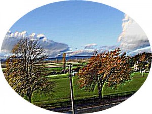 54_filter_applied_rounded_corners