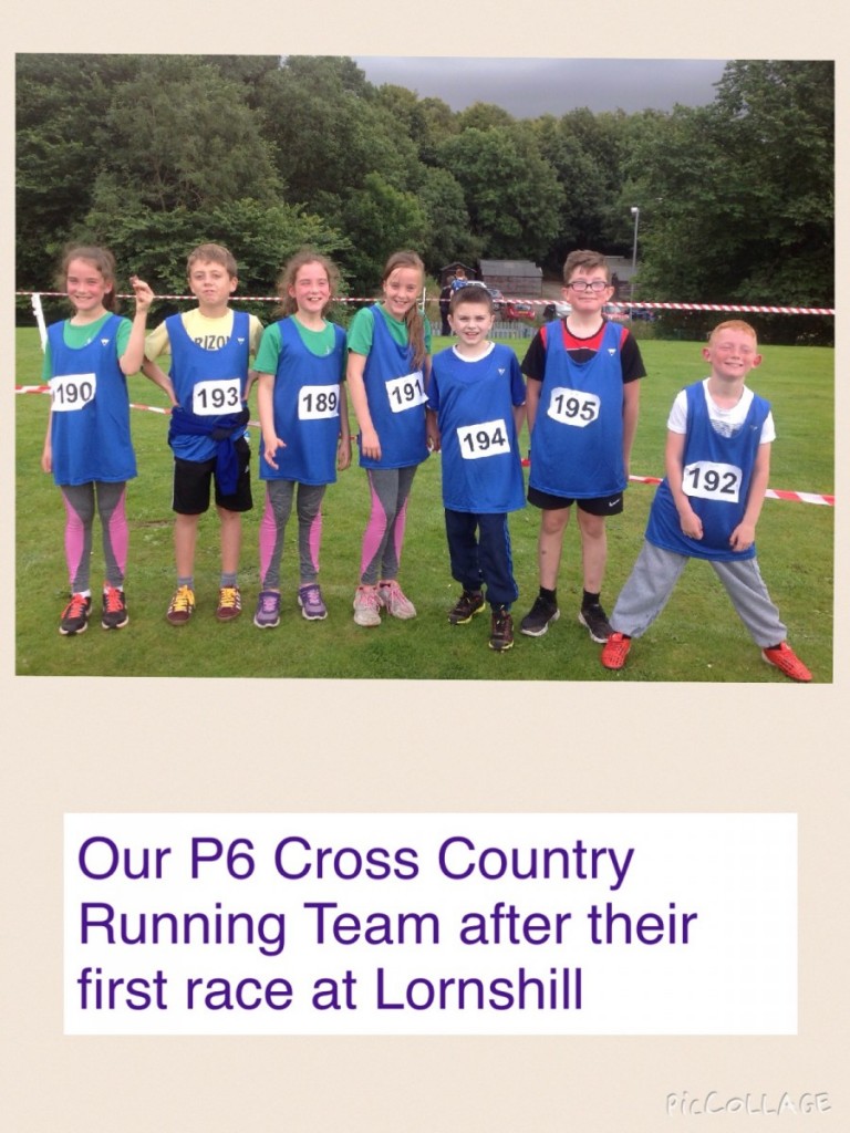 P6 cross country team